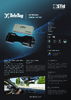 TeleTag® flyer